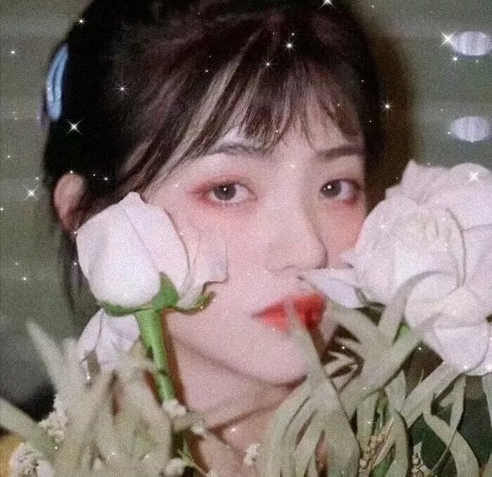 飞车载卿情