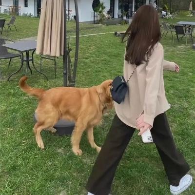 引人入性